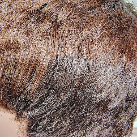 Lord & Cliff 100% Human Hair Wig – Short Pixie Cut Brown - Picture 5 of 7